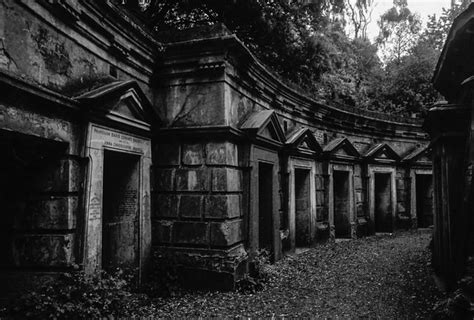 The sorcerous curse of the highgate vampire